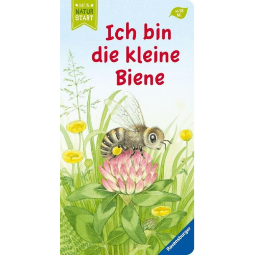 41480 - Ich bin die kleine Biene