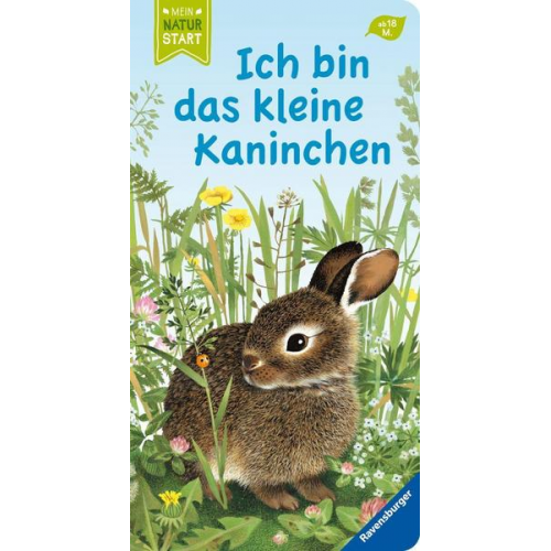 21621 - Ich bin das kleine Kaninchen