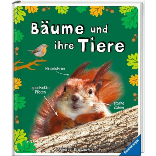 Gil Wojciech - Bäume und ihre Tiere - das spannende Leben in unseren Wäldern, Hecken und Feldrainen (Flora und Fauna)