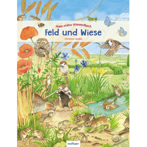 Christine Henkel - Mein erstes Wimmelbuch: Feld und Wiese