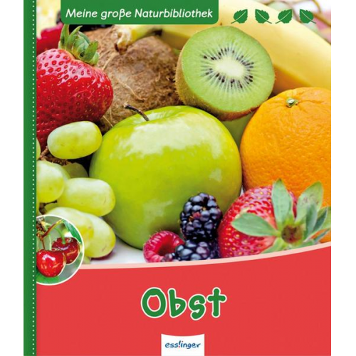 Svenja Ernsten - Meine große Naturbibliothek: Obst