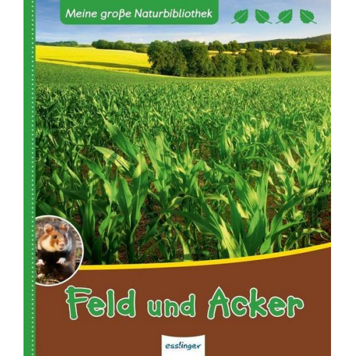 Axel Gutjahr - Meine große Naturbibliothek: Feld und Acker