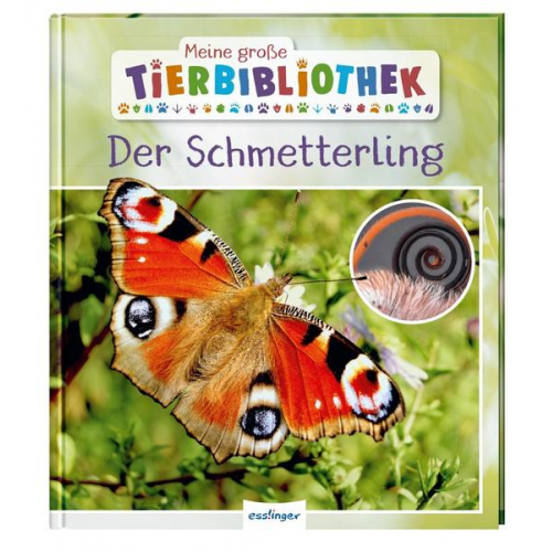 43480 - Meine große Tierbibliothek: Der Schmetterling