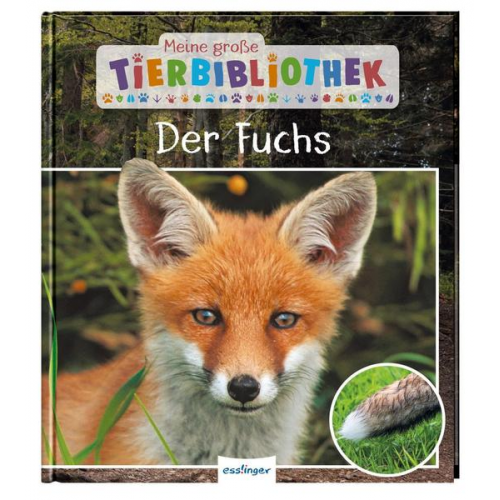 51949 - Meine große Tierbibliothek: Der Fuchs