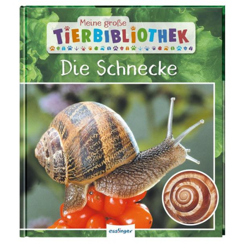 39609 - Meine große Tierbibliothek: Die Schnecke