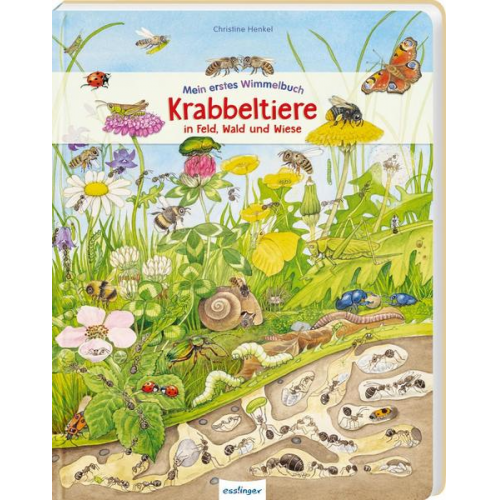 46692 - Mein erstes Wimmelbuch: Krabbeltiere in Feld, Wald und Wiese