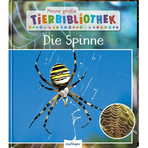 109091 - Meine große Tierbibliothek: Die Spinne