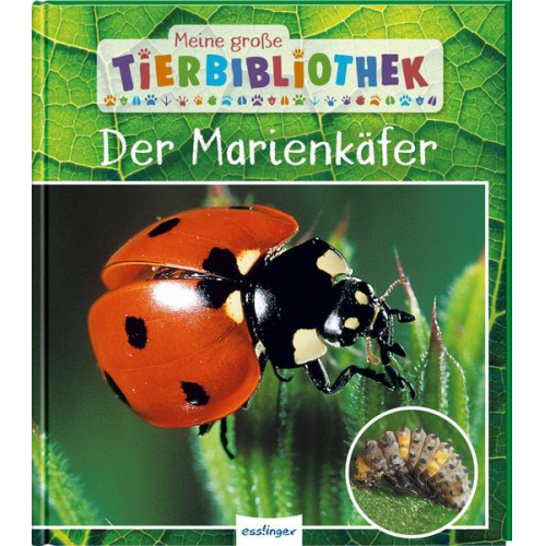 47754 - Meine große Tierbibliothek: Der Marienkäfer