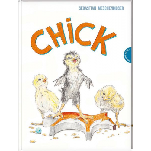 Sebastian Meschenmoser - Chick