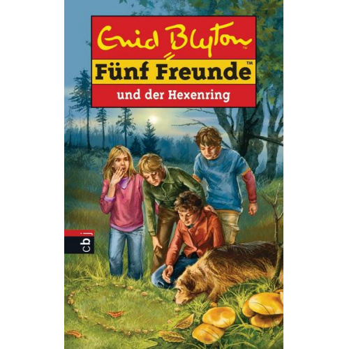 Enid Blyton - Fünf Freunde und der Hexenring / Fünf Freunde Bd.53