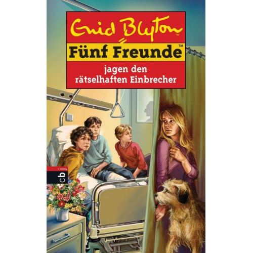 Enid Blyton - Fünf Freunde jagen den rätselhaften Einbrecher / Fünf Freunde Bd.59