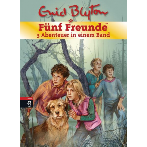 Enid Blyton - Fünf Freunde - 3 Abenteuer in einem Band Bd.14