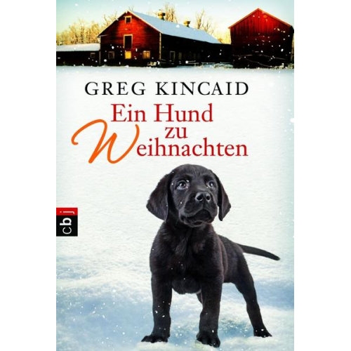 Greg Kincaid - Ein Hund zu Weihnachten