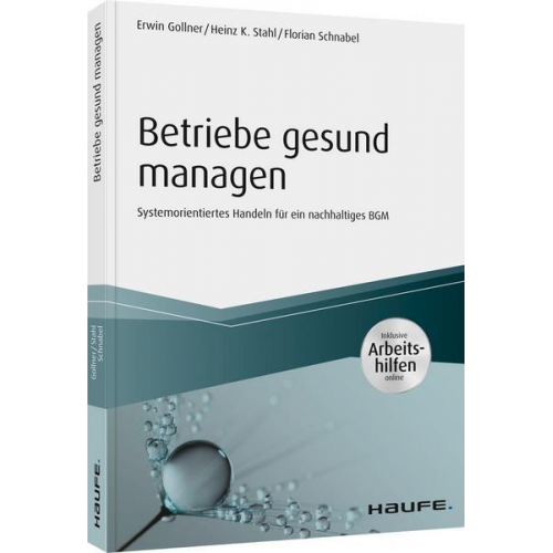 Erwin Gollner & Heinz K. Stahl & Florian Schnabel - Betriebe gesund managen - inkl. Arbeitshilfen online