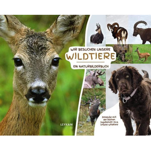 Ingrid Flick & Georg Rothmann - Wir besuchen unsere Wildtiere – Ein Naturbilderbuch