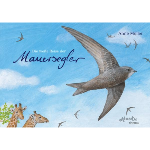 Anne Möller - Die weite Reise der Mauersegler