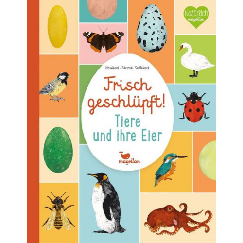 Eva Bártová & Markéta Nováková & Blanka Sedláková - Frisch geschlüpft! - Tiere und ihre Eier