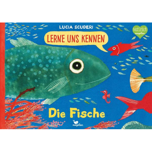 27280 - Lerne uns kennen - Die Fische