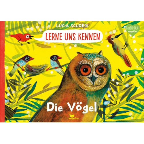 Lucia Scuderi - Lerne uns kennen - Die Vögel