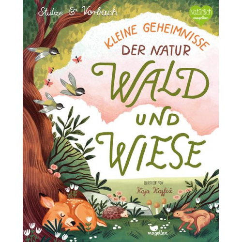 Stütze & Vorbach - Kleine Geheimnisse der Natur - Wald und Wiese