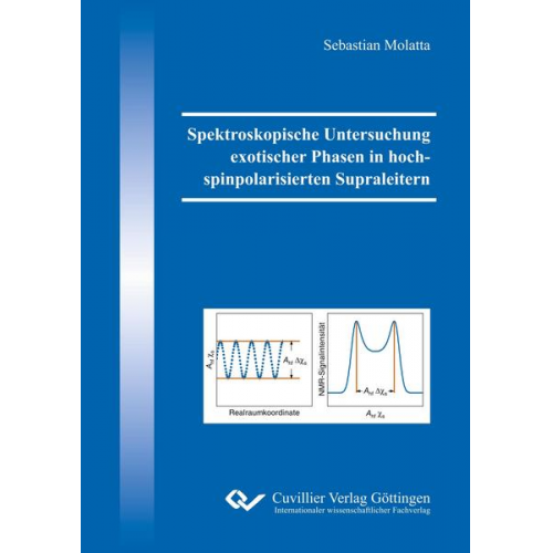 Sebastian Molatta - Spektroskopische Untersuchung exotischer Phasen in hochspinpolarisierten Supraleitern