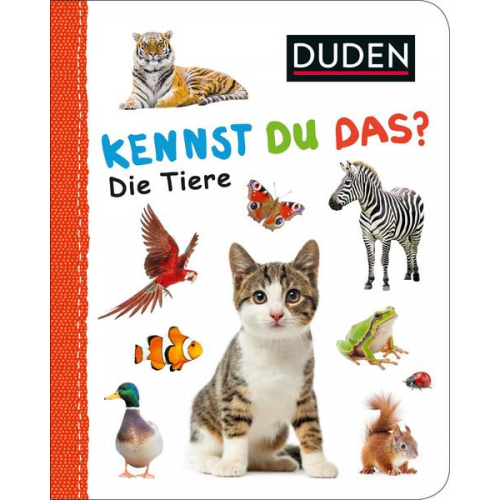 140872 - Duden 12+: Kennst du das? Die Tiere