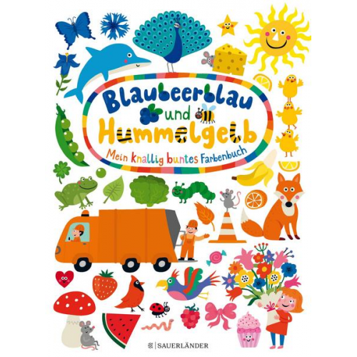 Blaubeerblau und Hummelgelb Mein knallig buntes Farbenbuch