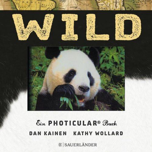 Dan Kainen & Kathy Wollard - Wild