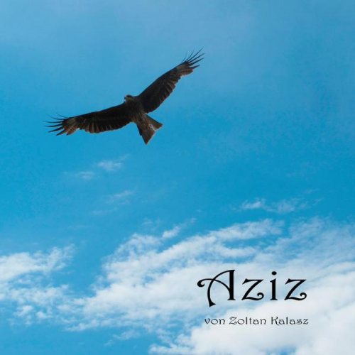 Zoltan Kalasz - Aziz