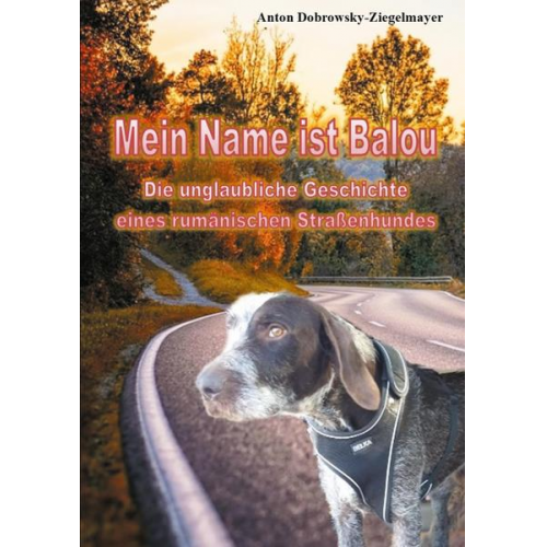 Anton Dobrowsky-Ziegelmayer - Mein Name ist Balou