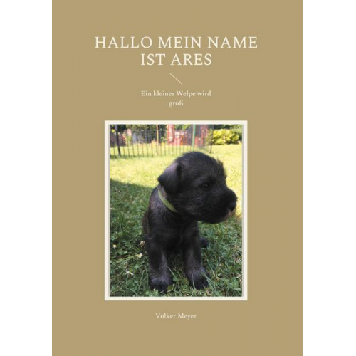 Volker Meyer - Hallo mein Name ist Ares