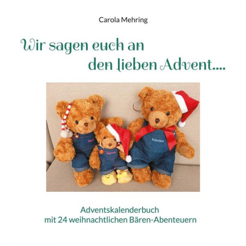 Carola Mehring - Wir sagen euch an den lieben Advent....