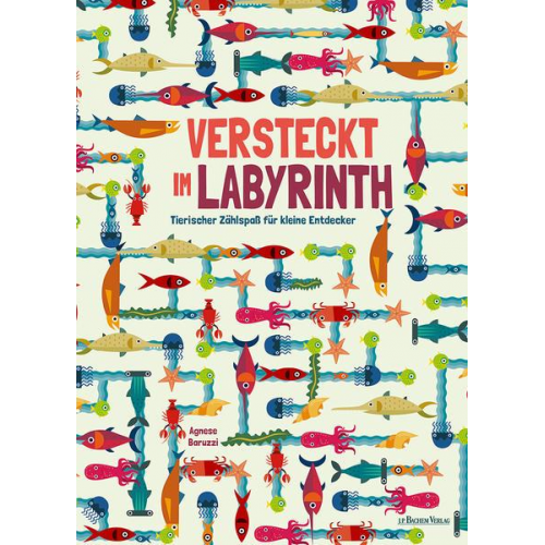 Agnese Baruzzi - Versteckt im Labyrinth