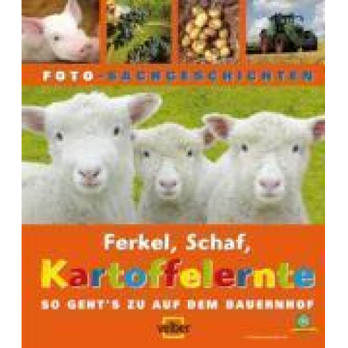 Birgit Oesterle & Michaela Kissling - Ferkel, Schaf, Kartoffelernte