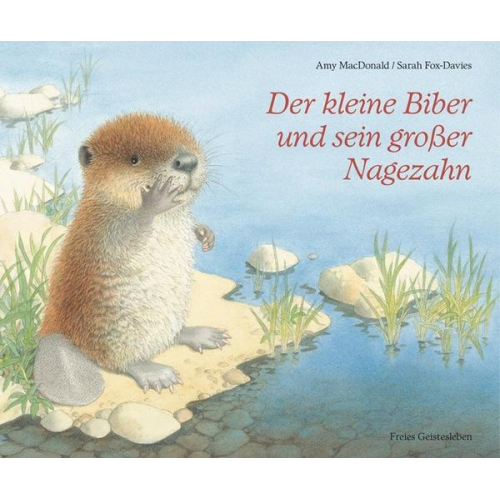 70936 - Der kleine Biber und sein großer Nagezahn