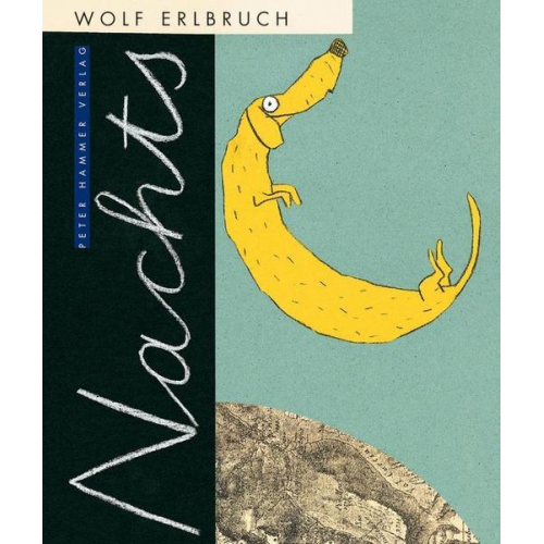 Wolf Erlbruch - Nachts