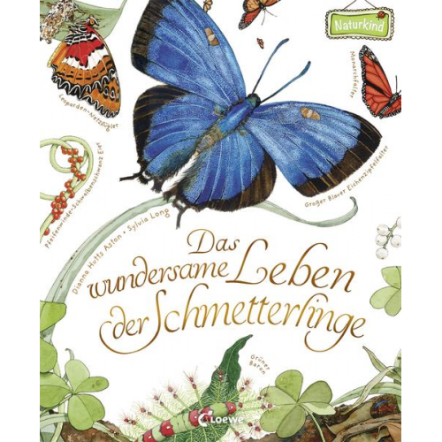 19223 - Das wundersame Leben der Schmetterlinge