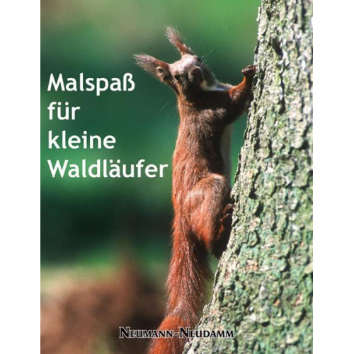 Malspaß für kleine Waldläufer