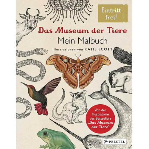 Katie Scott - Das Museum der Tiere. Mein Malbuch