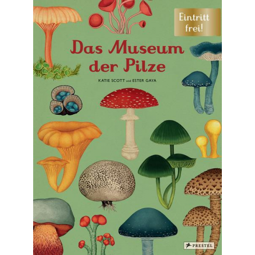 Ester Gaya & Katie Scott - Das Museum der Pilze