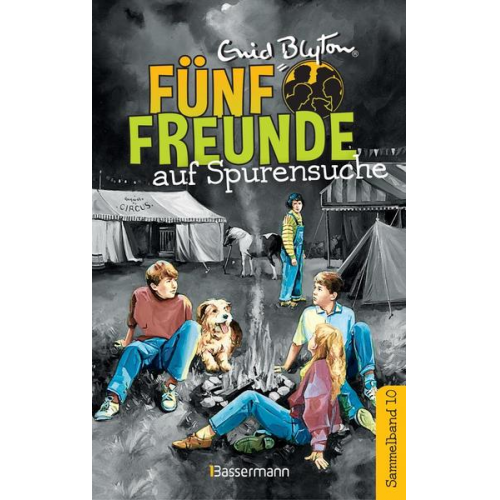 102380 - Fünf Freunde auf Spurensuche - DB 10