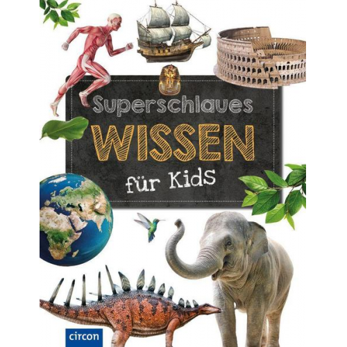 Heidi Schooltink Karolin Küntzel Iris Ottinger Georg Döhring - Superschlaues Wissen für Kids