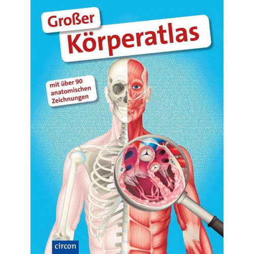 Stefanie Zysk - Großer Körperatlas