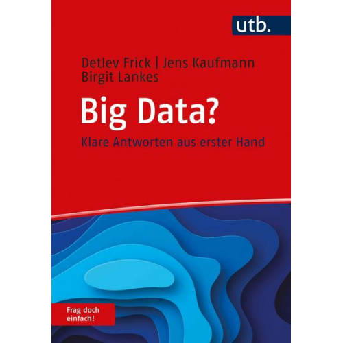 Detlev Frick & Jens Kaufmann & Birgit Lankes - Big Data? Frag doch einfach!