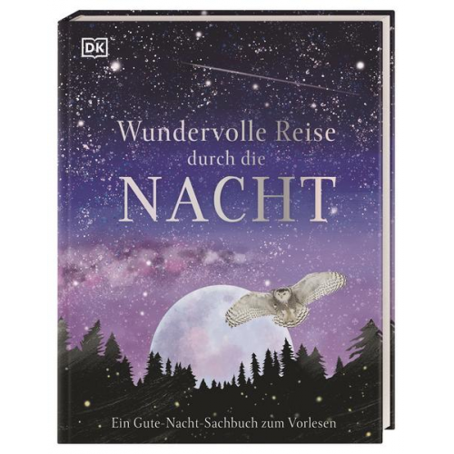 Wundervolle Reise durch die Nacht