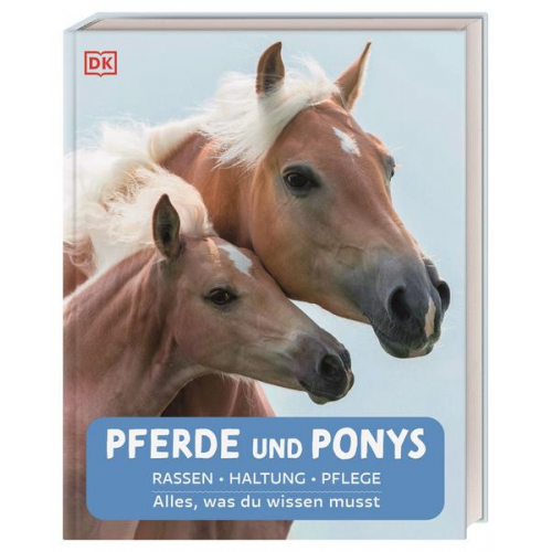 23494 - Pferde und Ponys