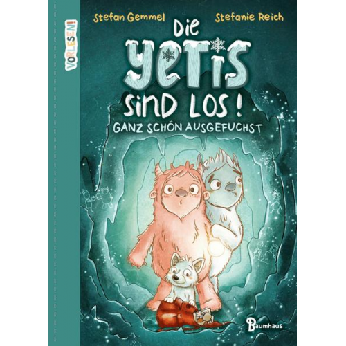 Stefan Gemmel - Die Yetis sind los! - Ganz schön ausgefuchst (Band 2)