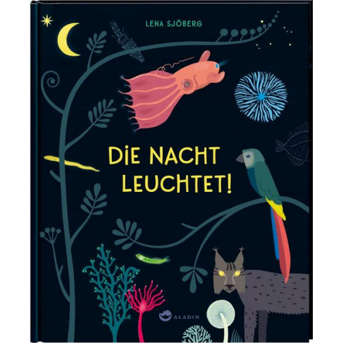 141115 - Die Nacht leuchtet!