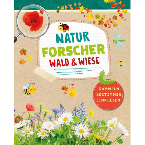 Naturforscher Wald & Wiese - Sammeln, Bestimmen, Einkleben