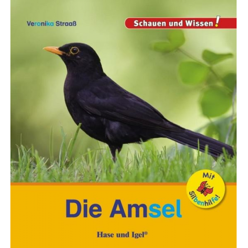 Veronika Straass - Die Amsel / Sonderausgabe mit Silbenhilfe